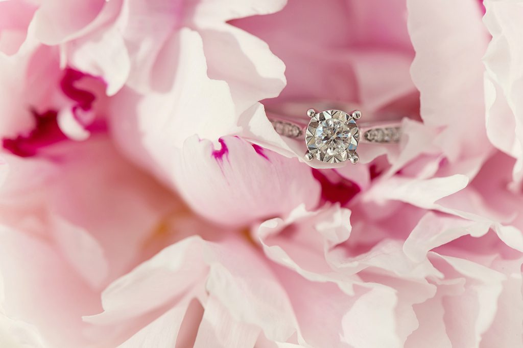 richmond wedding photographer at pembroke lodge