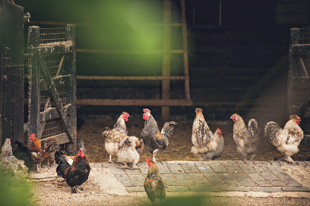 South Farm Wedding-003