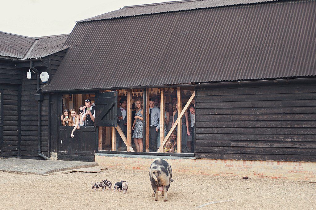 South Farm Wedding-084
