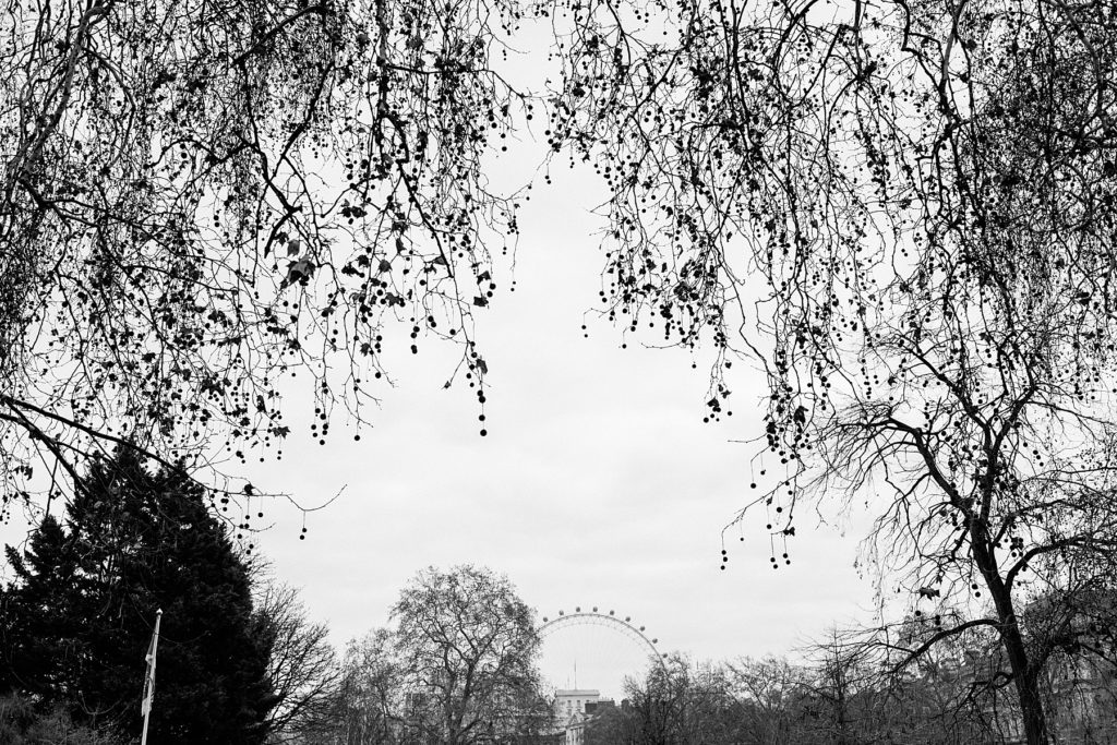 Winter Wedding in London